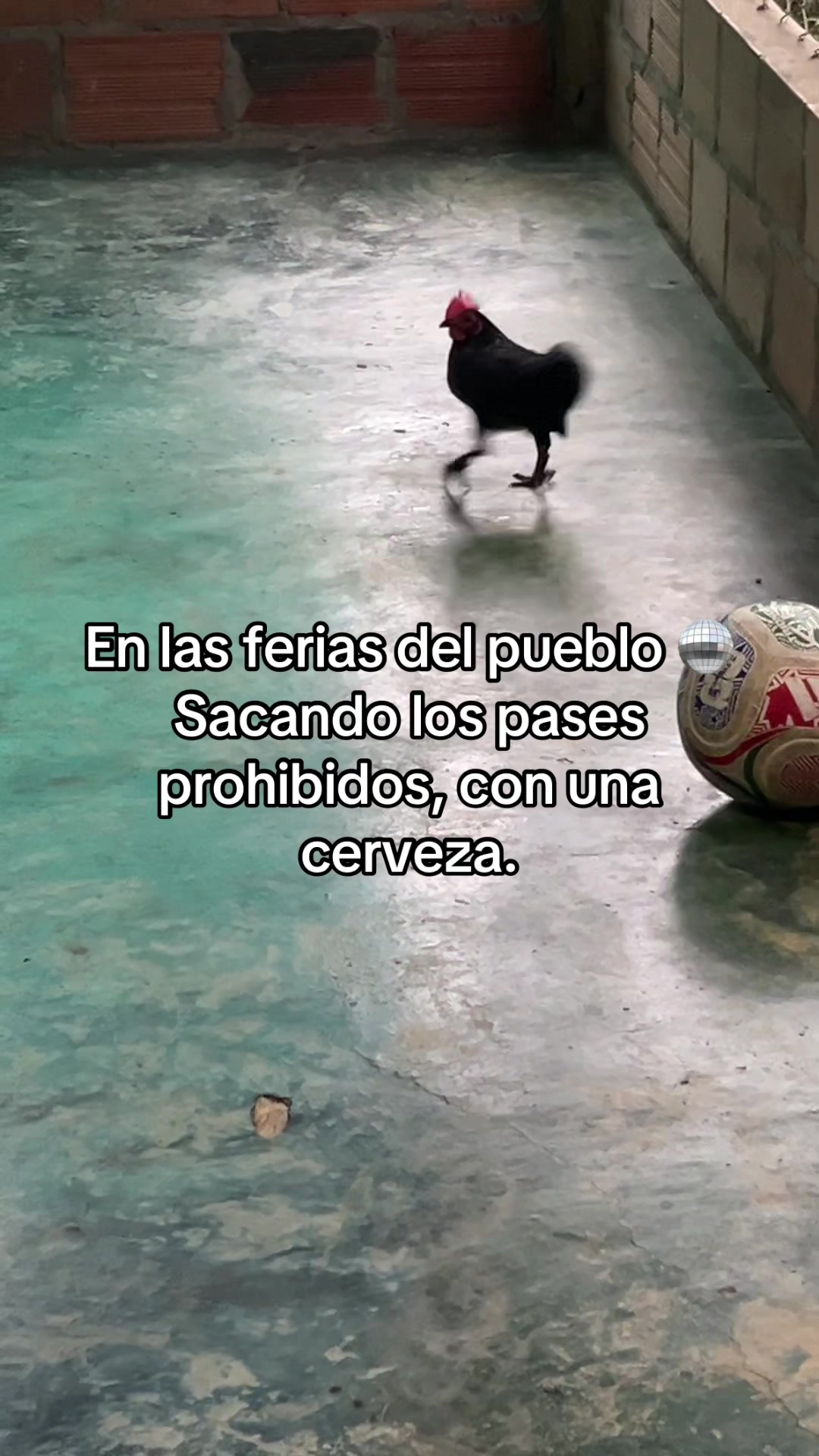 @LA COSTE-SANTANDEREANA