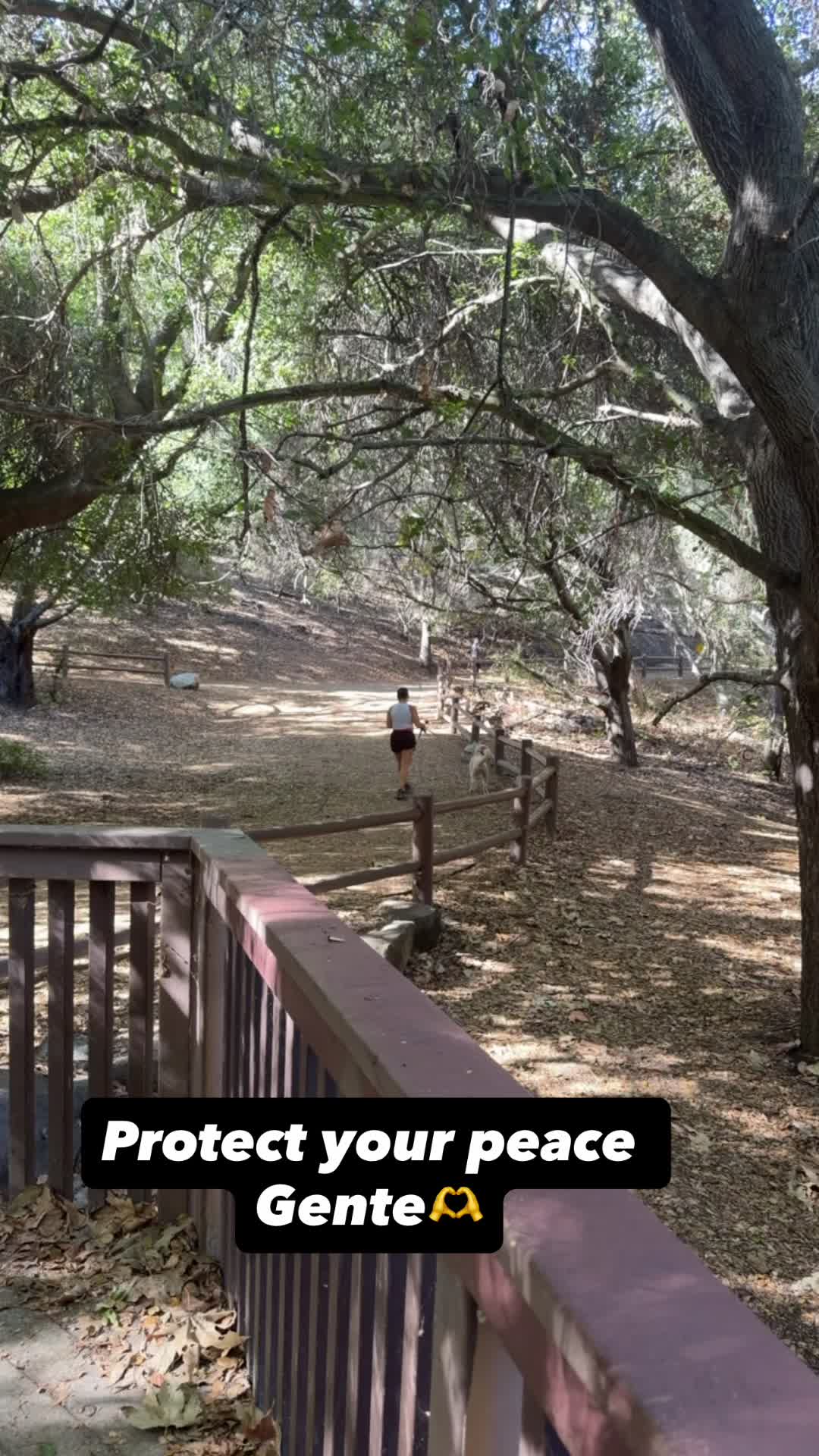 @Bella_B_