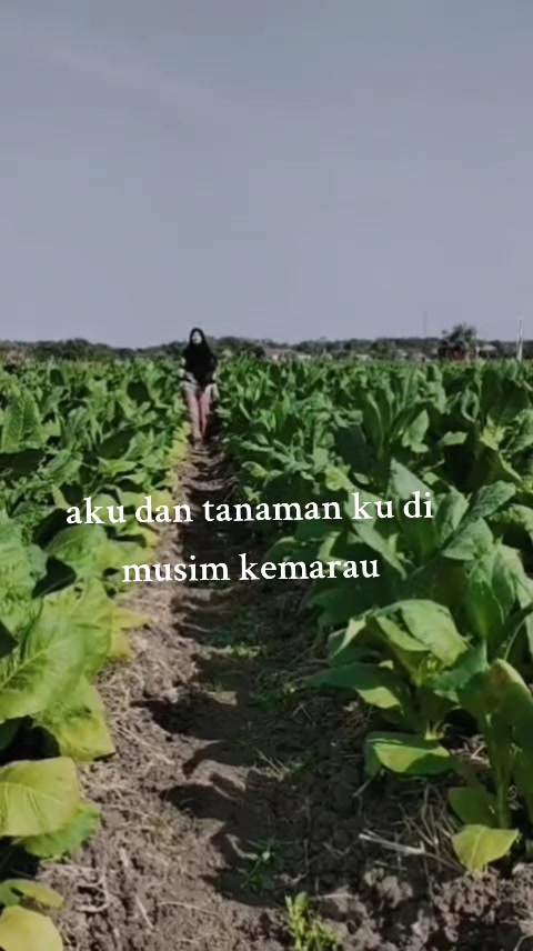 @R.RESTU๐ซถ๐ผ