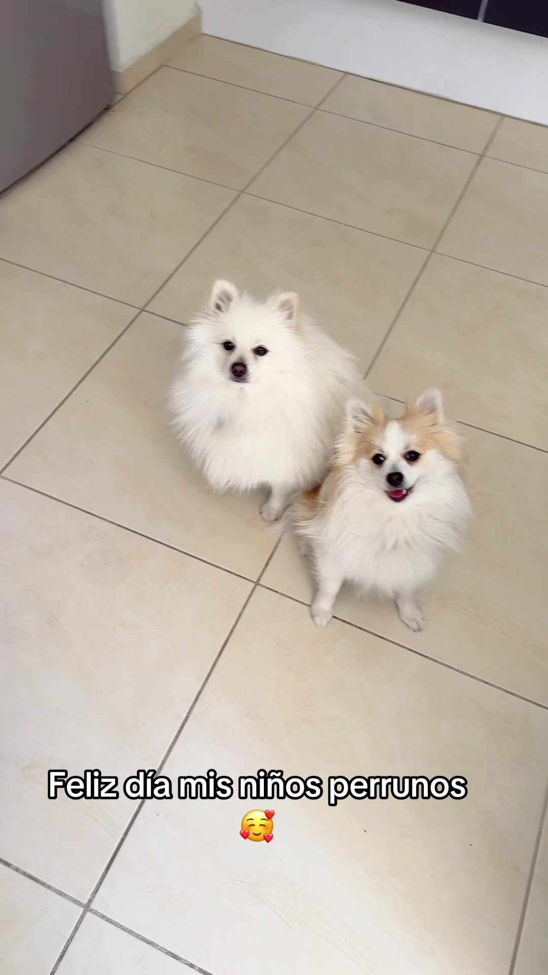@Dallana y Dexter🐶