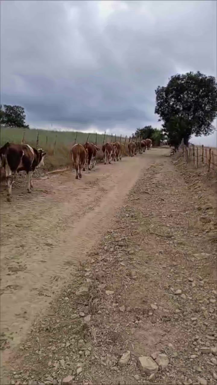 @G&Uuml;NG&Ouml;R RAMAZAN ✅️