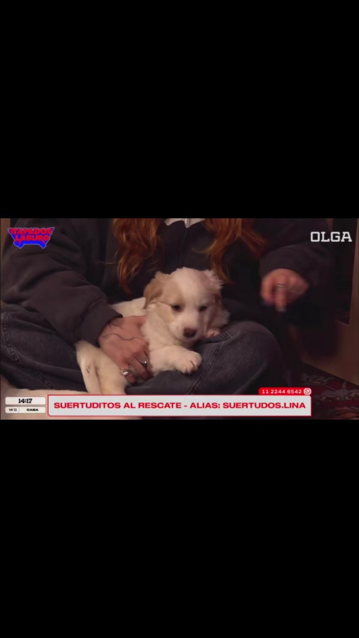 @L de Le re doy a Luli g