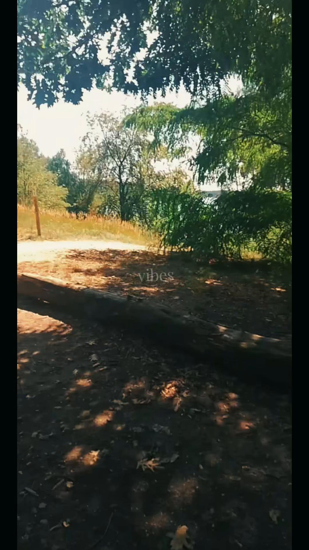 @𝓚𝓾𝓻𝓲𝓮𝓻 𝓐𝓷𝓭𝔃𝓮𝓵𝓪 🚛