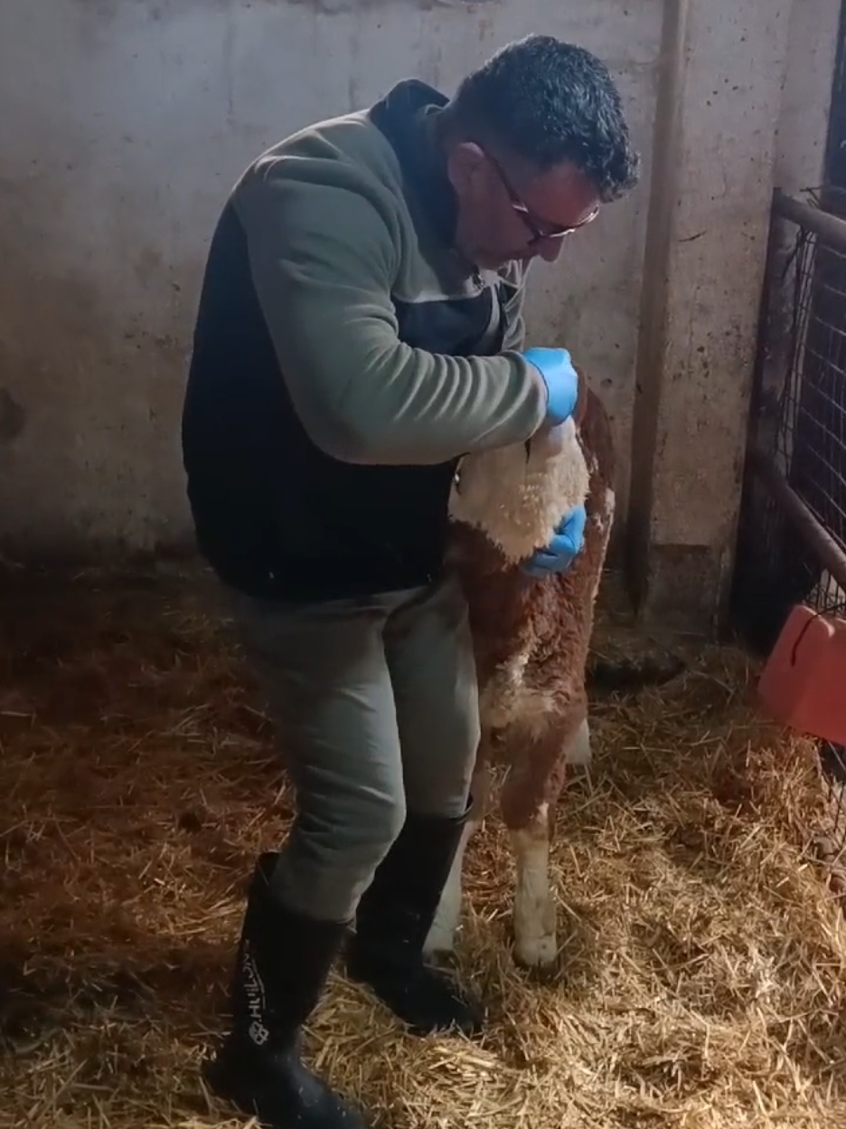 @Vet. Hekim Bülent SEZER