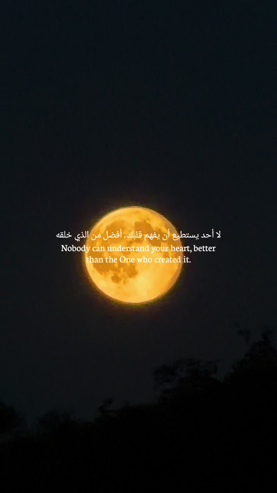 @Almasri Samer