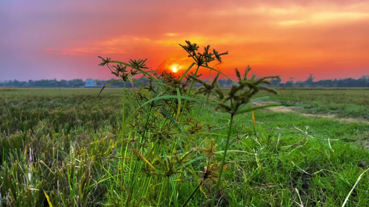 @ প্রকৃতি প্রেমিক সাইমন 🍃
