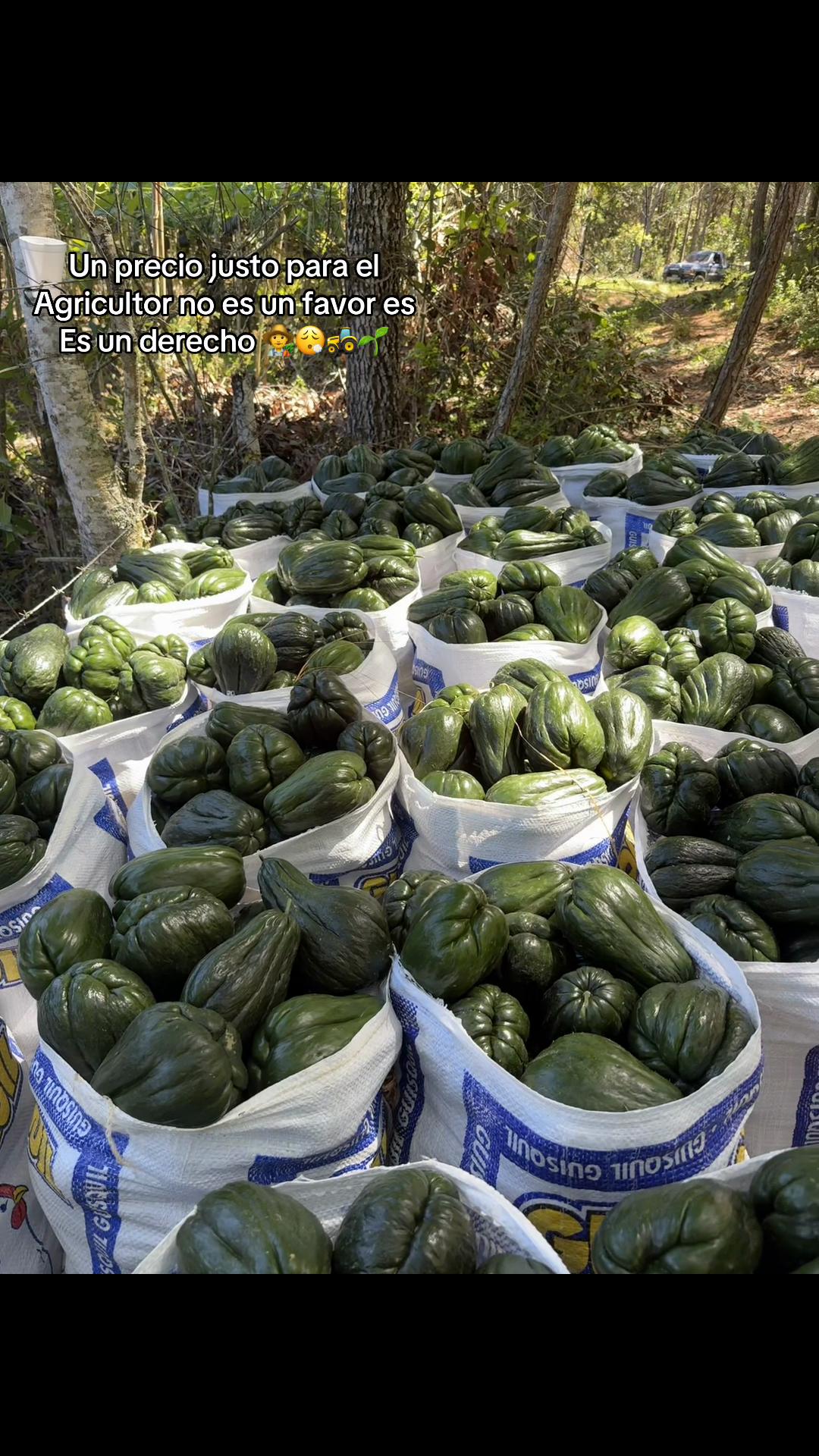 @gersonsanchez977