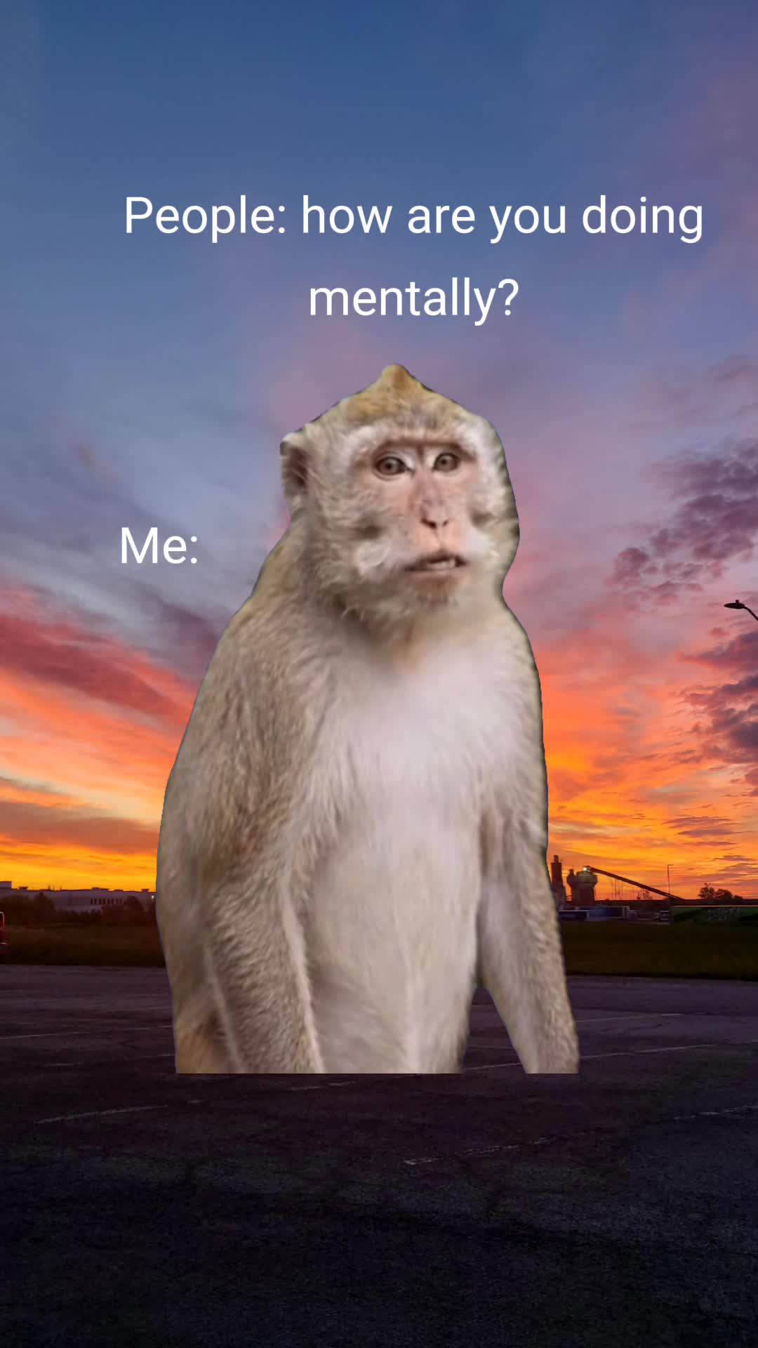 @NoodlePostEverything