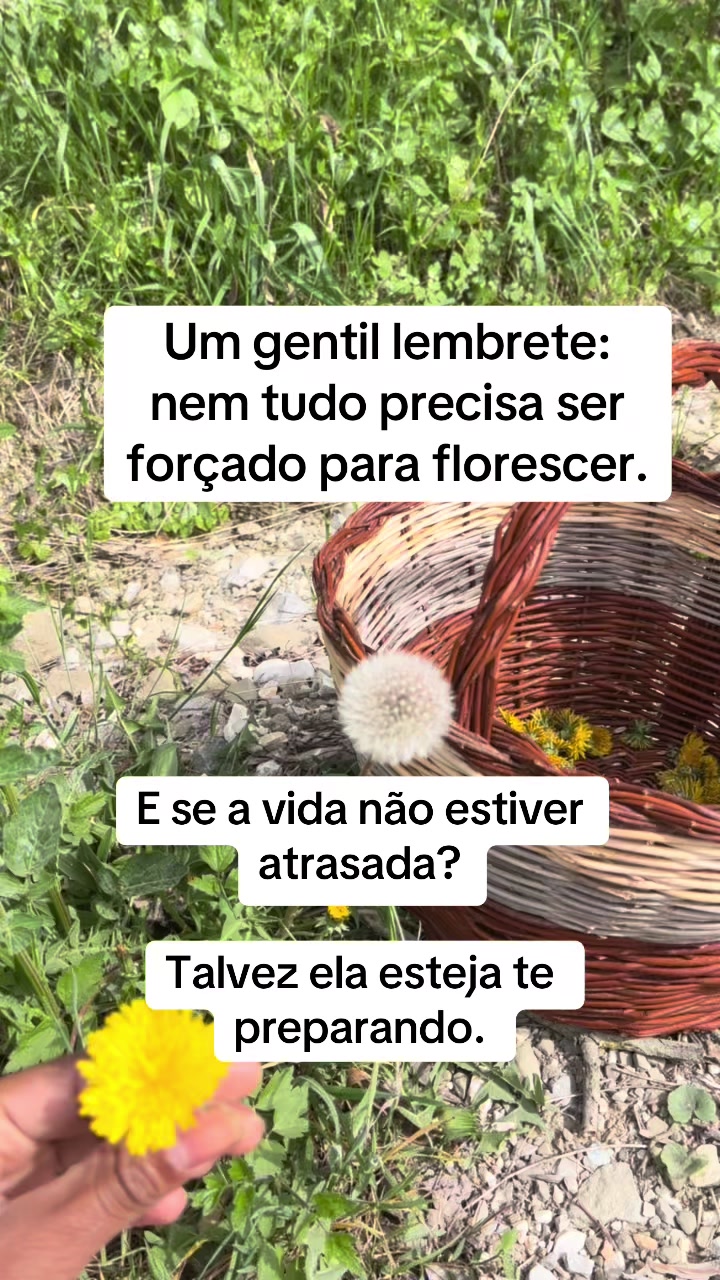 @Vanessa E. Santos | Terapeuta