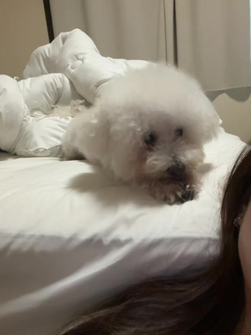 @rungg