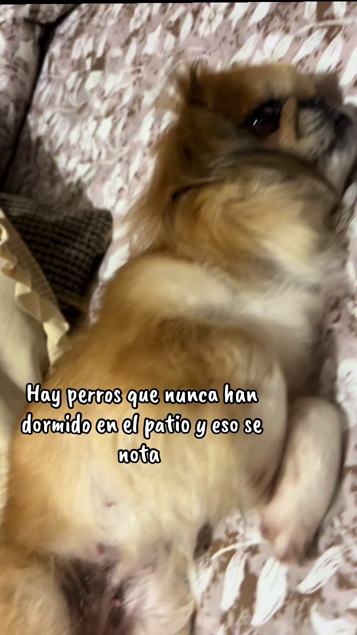 @🌻Sarilu🌻