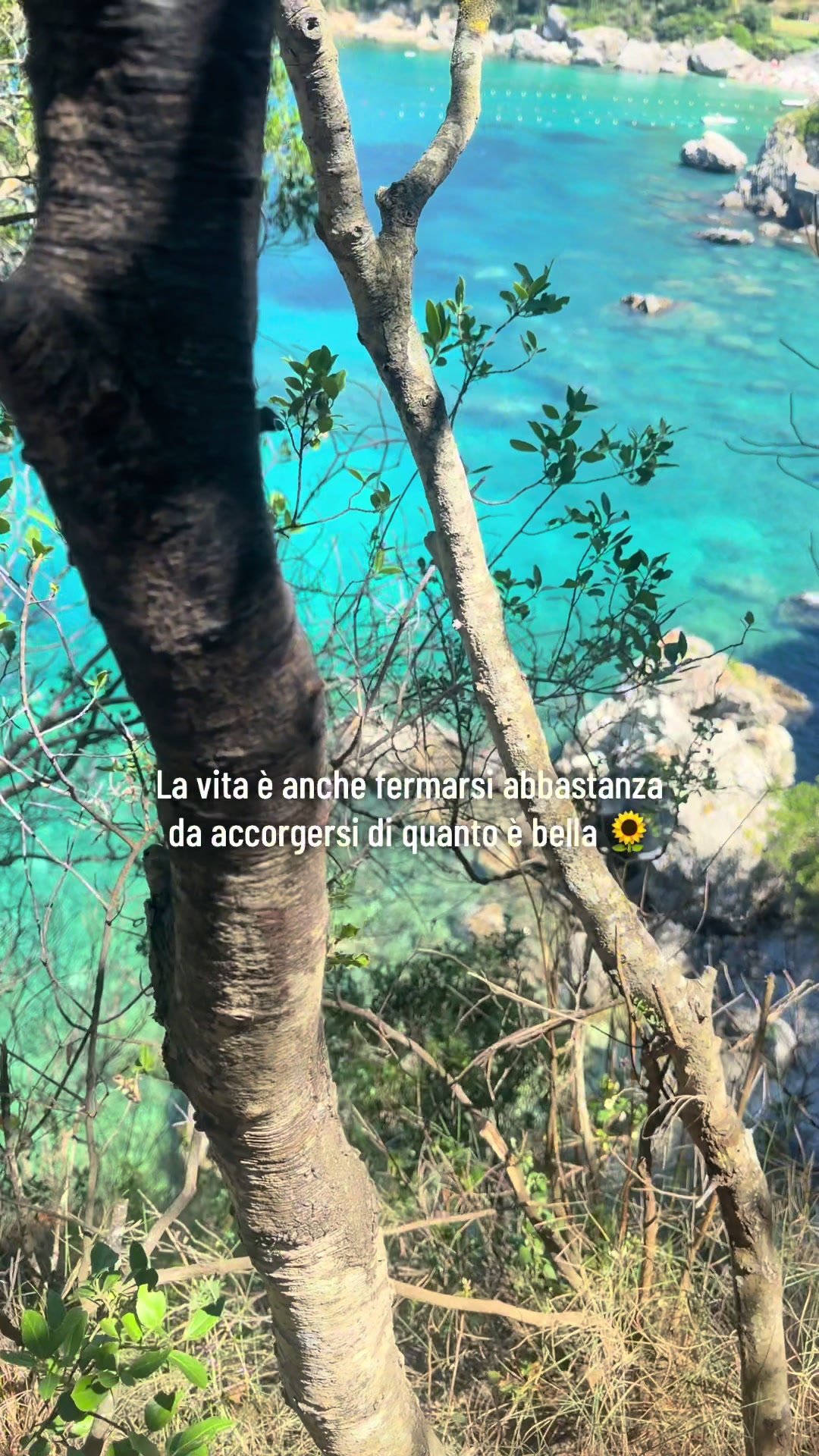 @Niciooo ☀️
