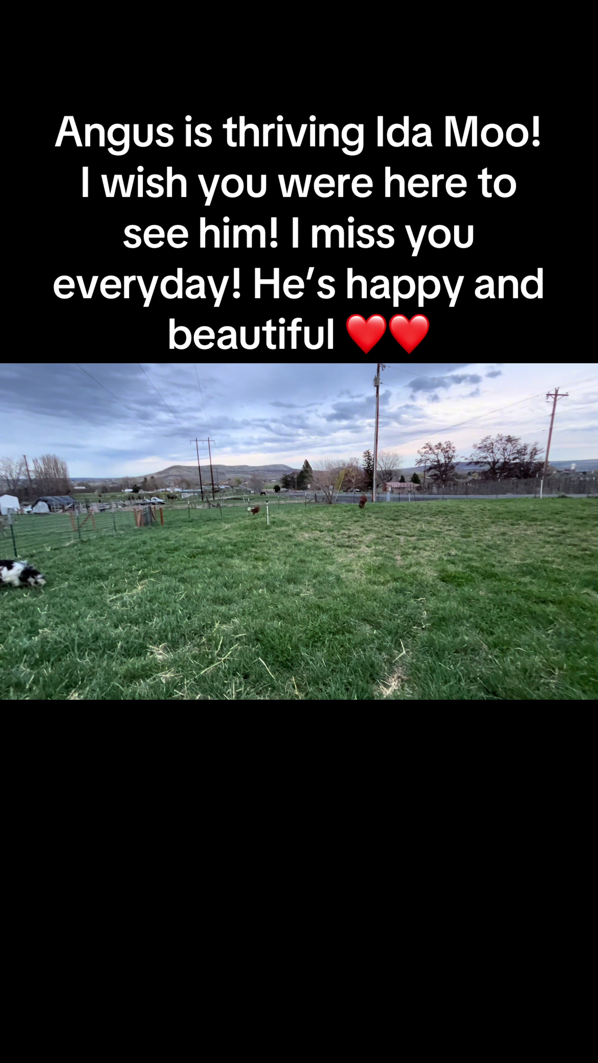 @WollamFarm