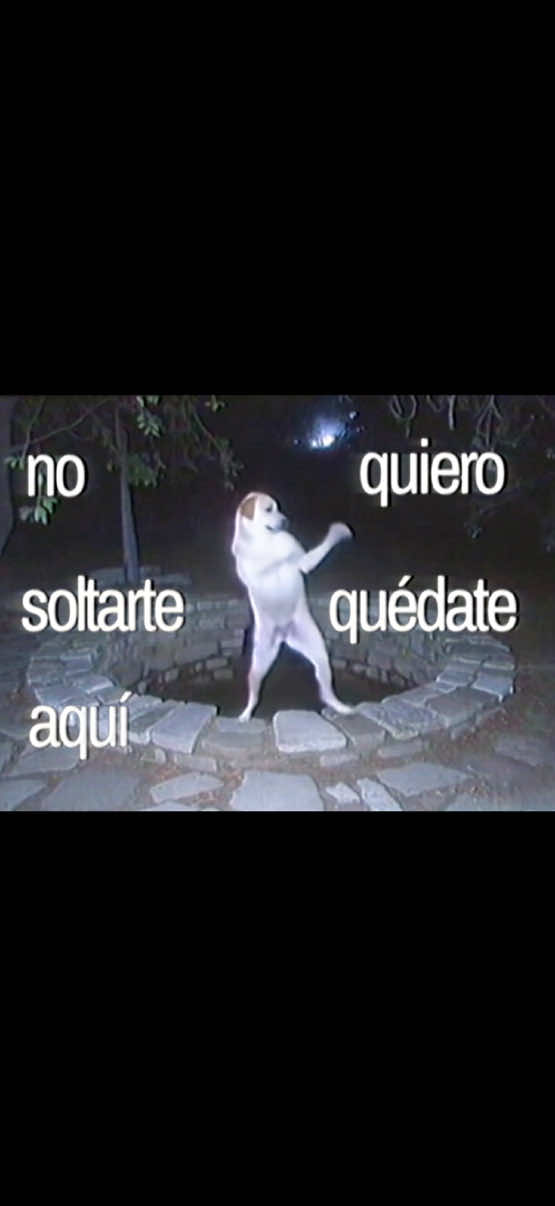 @jason