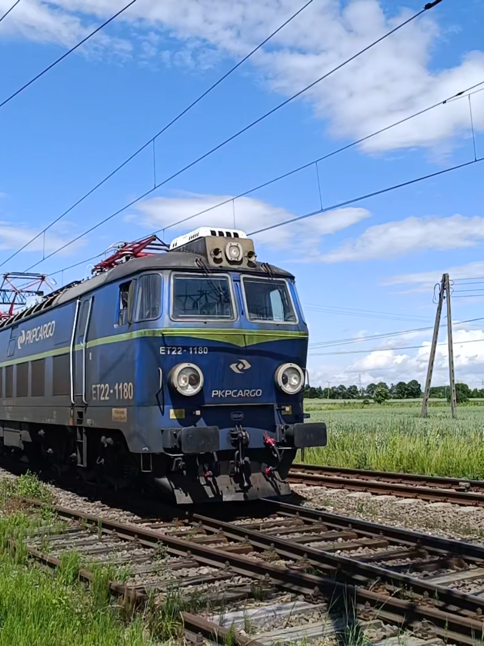 @Dawid🚅😈