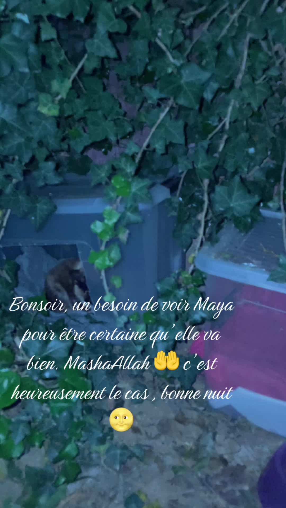 @nanoukira