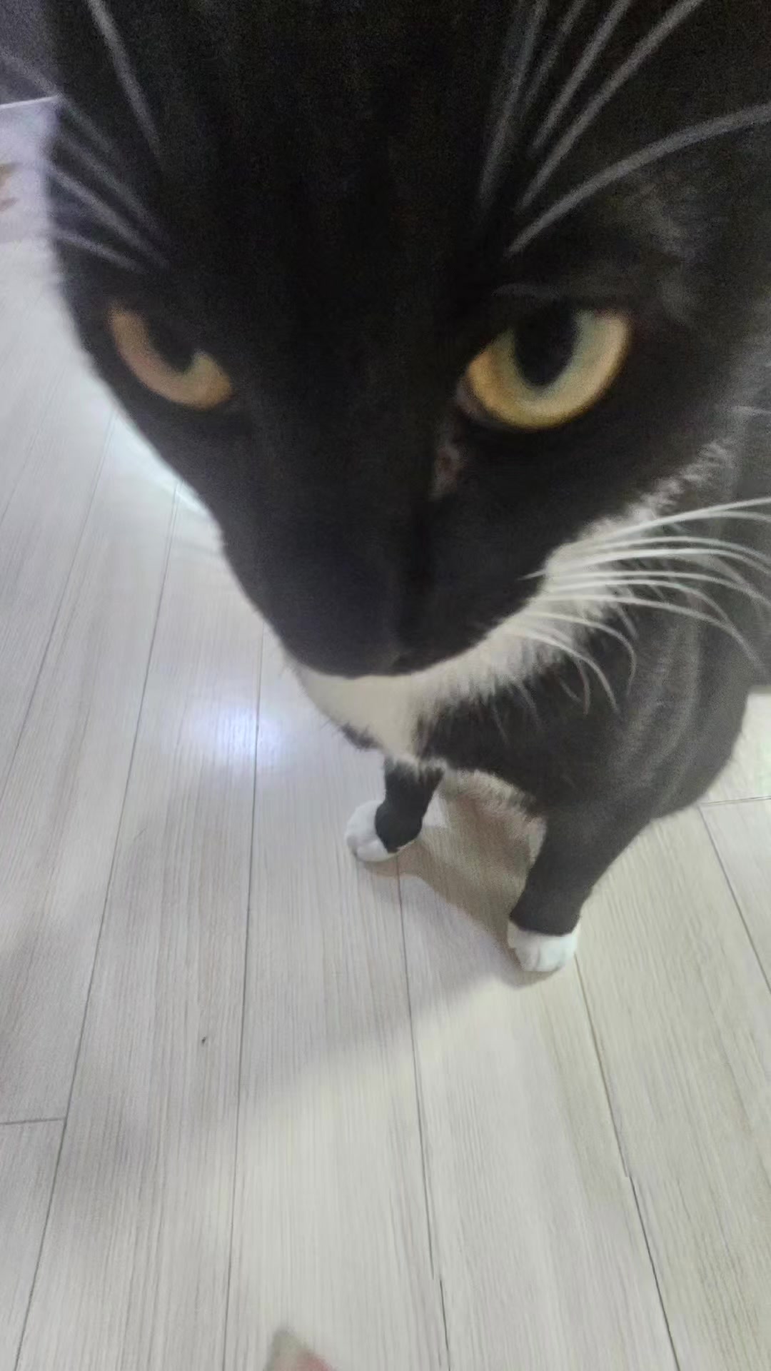 @야르~