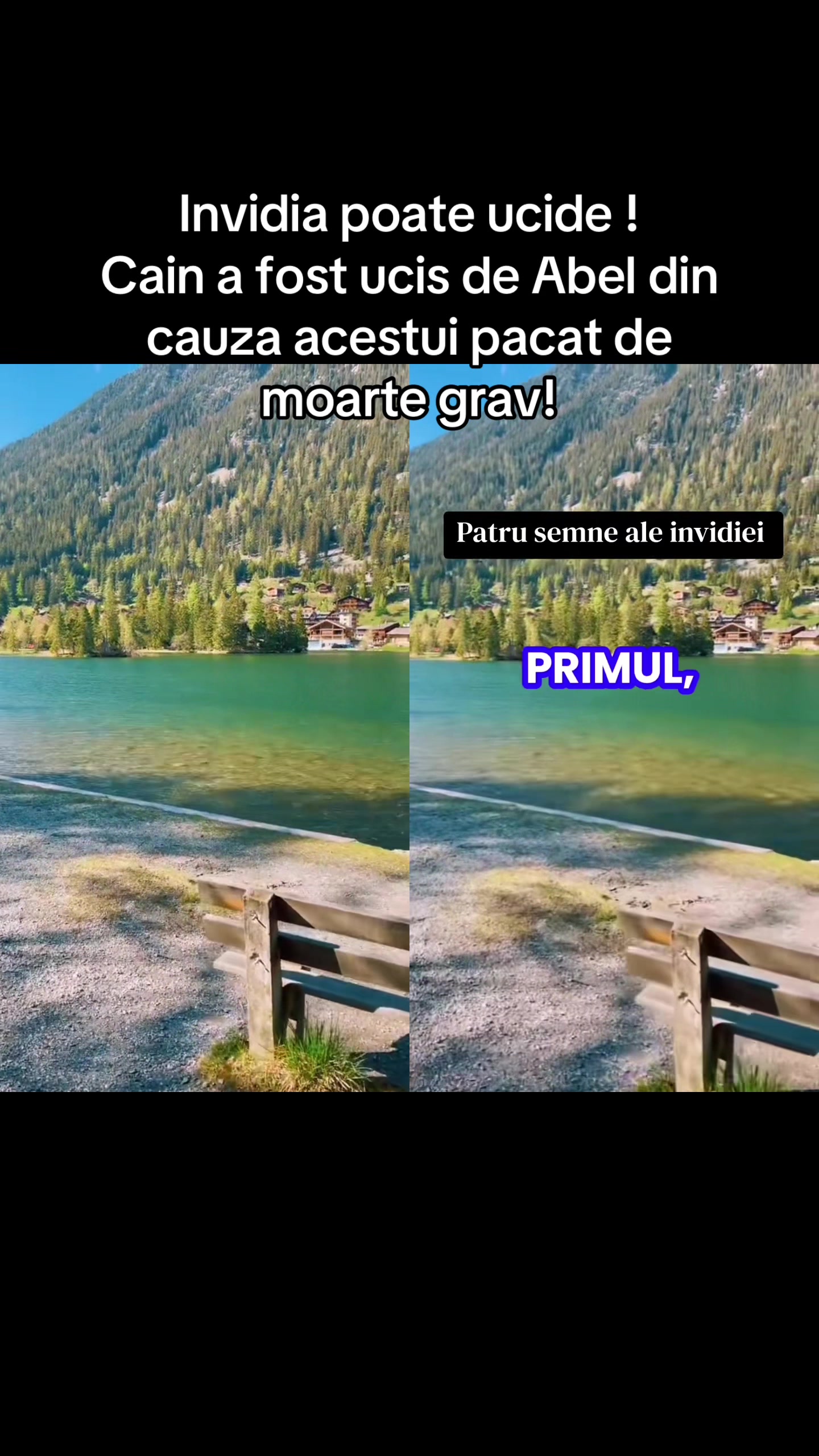 @𝑻𝒂𝒏𝒊𝒂 𝑯𝒆𝒏𝒆𝒔𝒄𝒉 🎻🏡