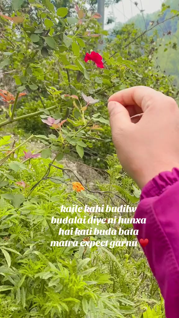 @Meenavlogs