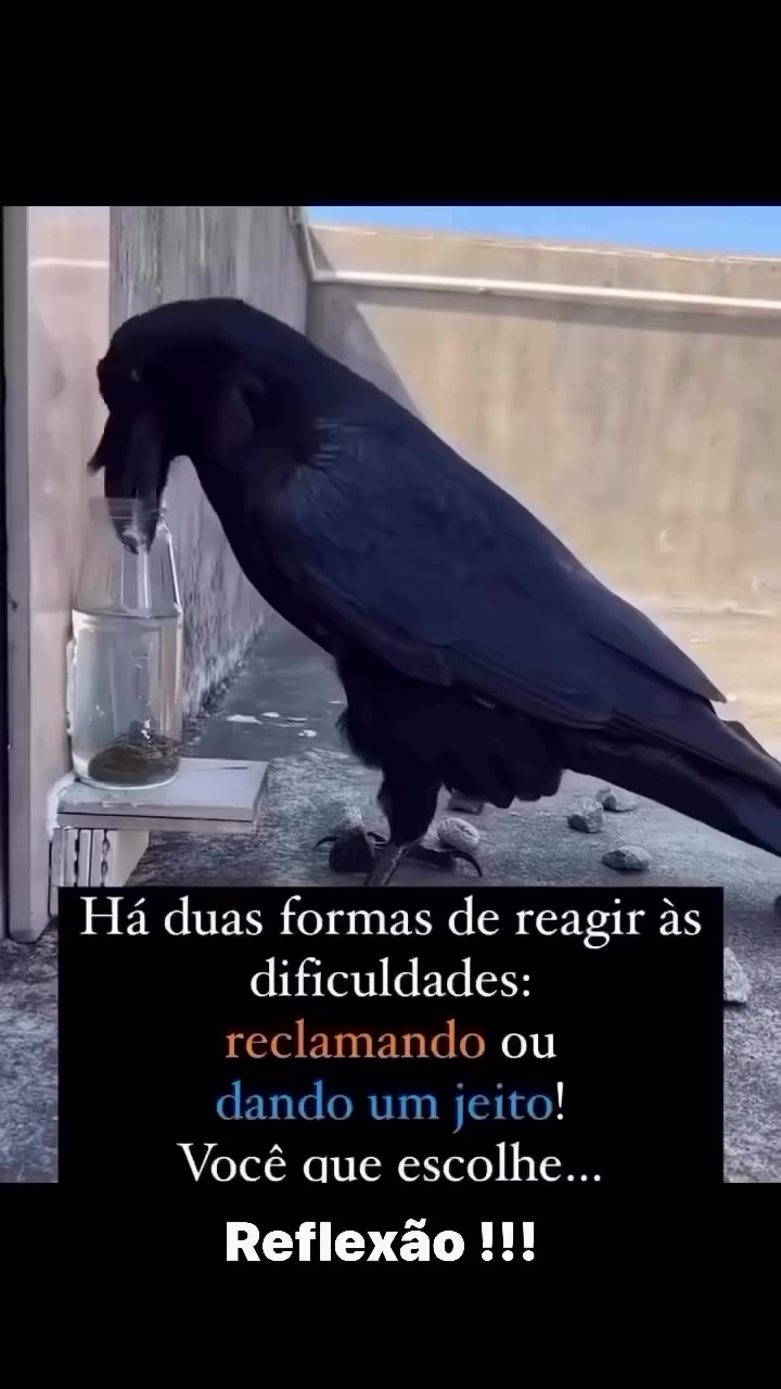 @Rose Alves