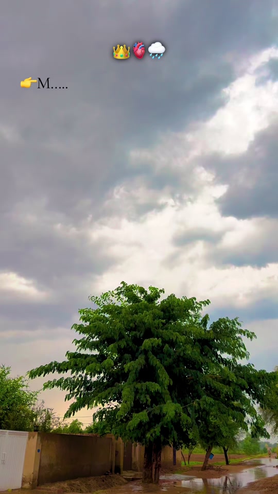 @پنجابی کلچر 🌾🍂