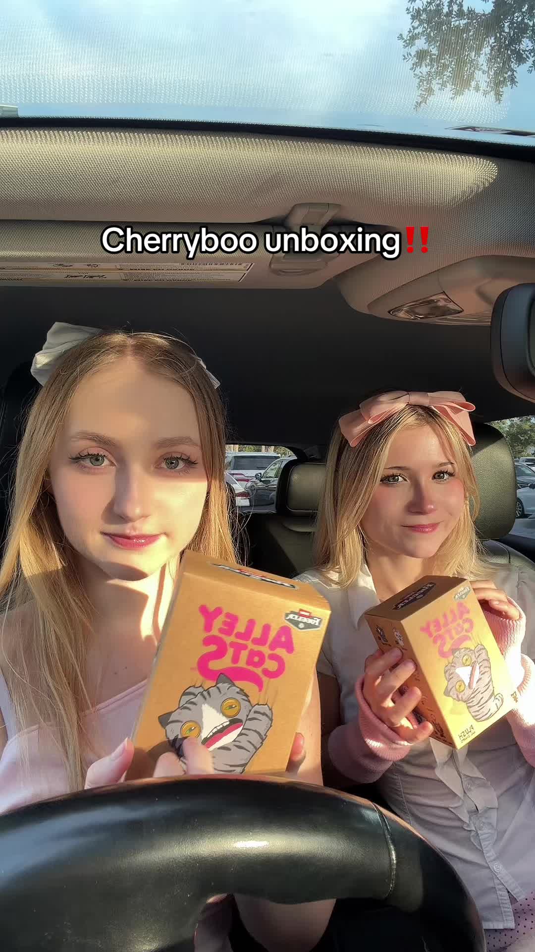 @cherryboo ݁ ˖Ი𐑼⋆