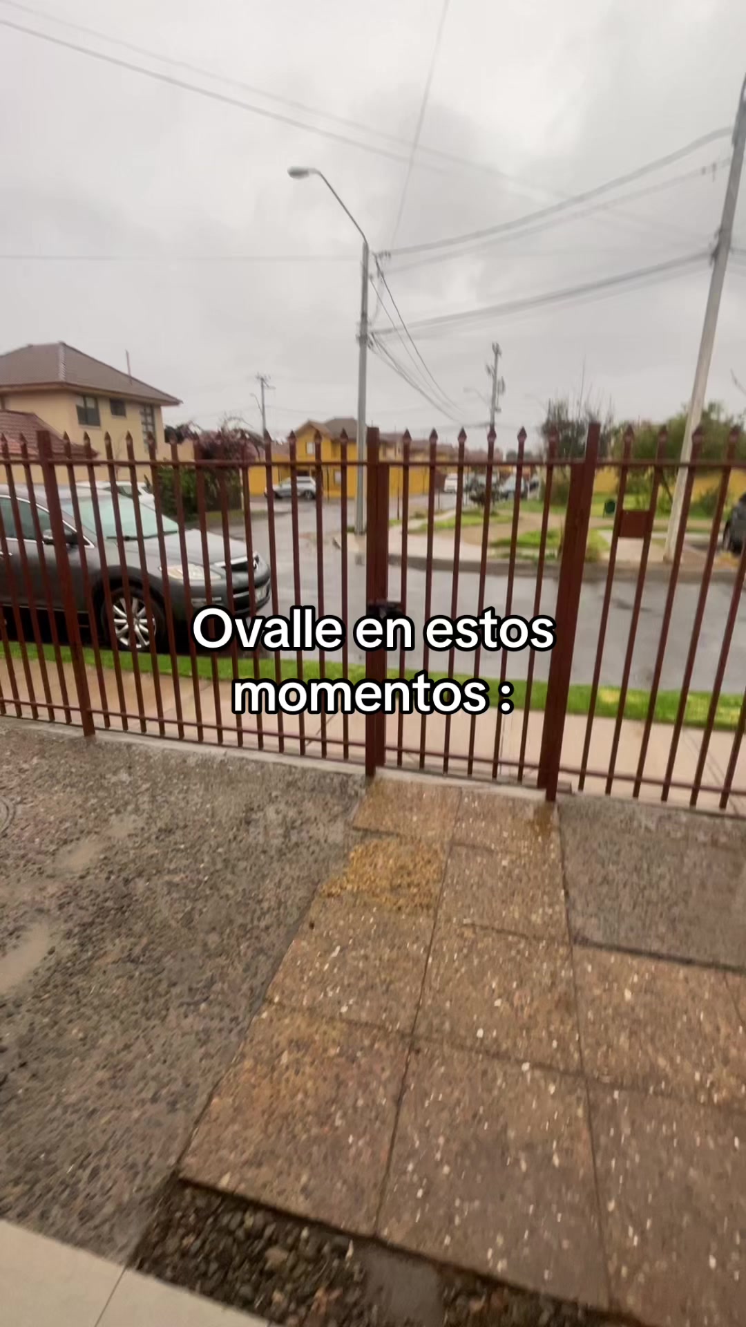 @ˊ˗๋࣭⭑𝓢𝕋𝓡𝓐𝓦_𝓑𝓔𝚁𝚁𝓨⚝˚₊·