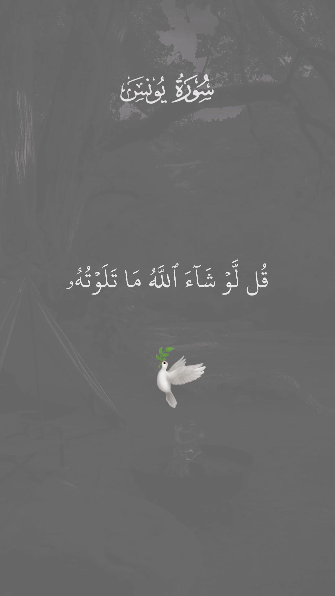 @القرآن الكريم 🕊🎧