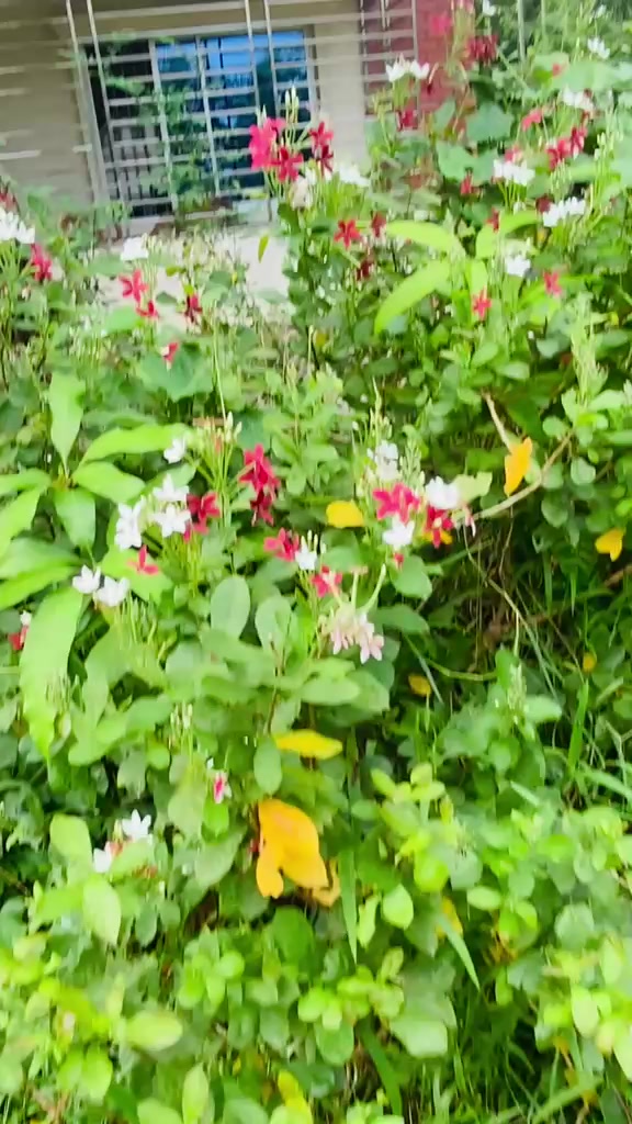 @ఌ︎𝐀.𝐌𝐀𝐈𝐒𝐀.ఌ︎シ︎