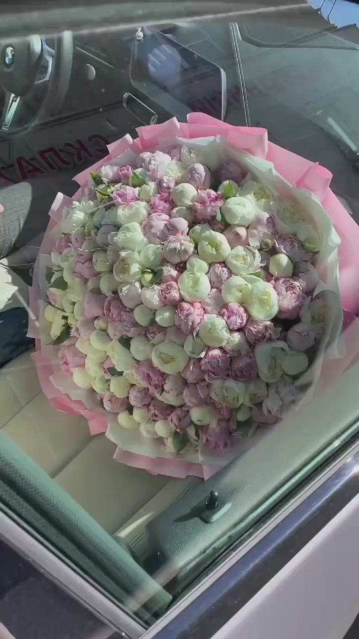 @by_zaur💐