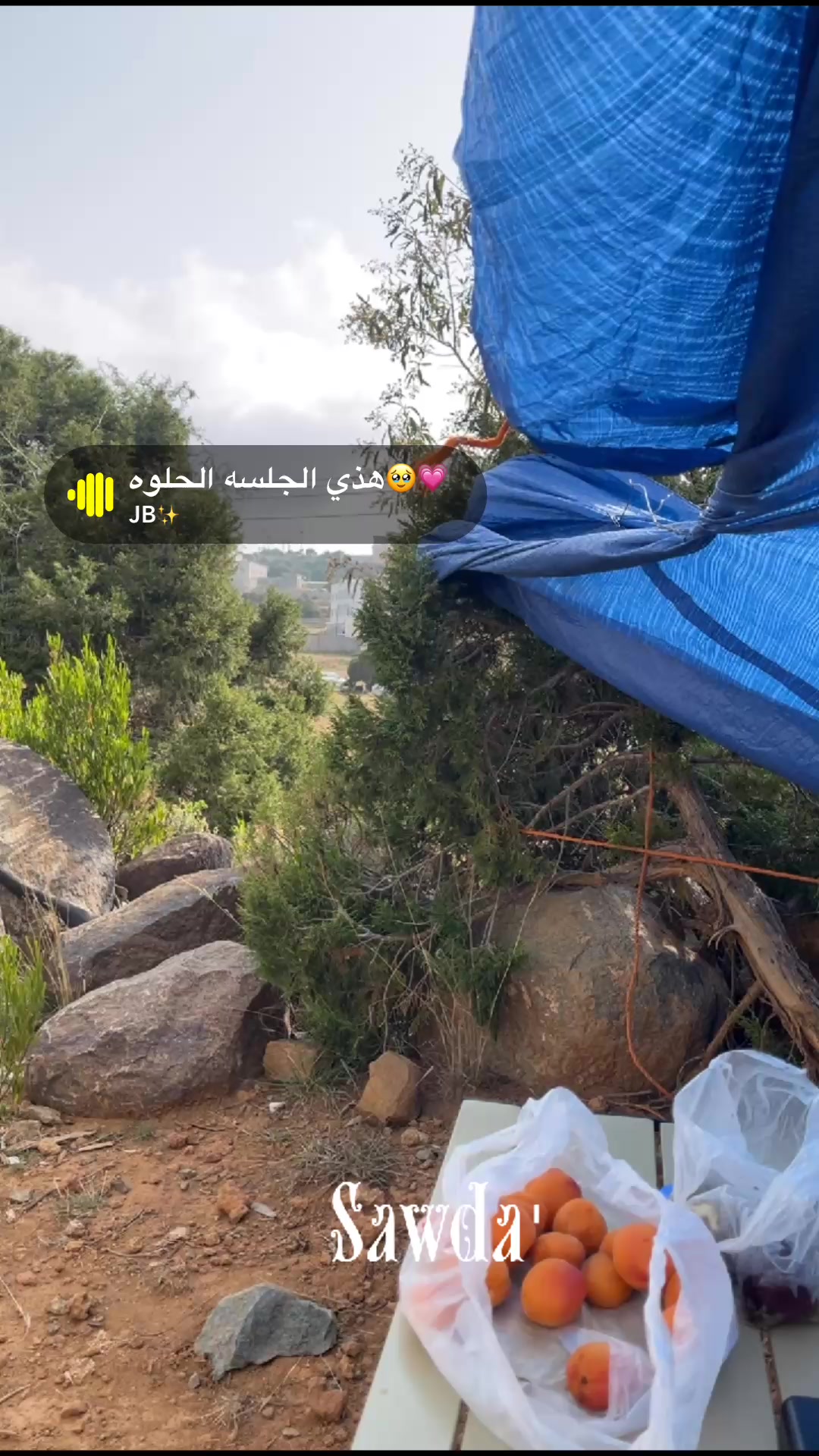 @مها الطايف