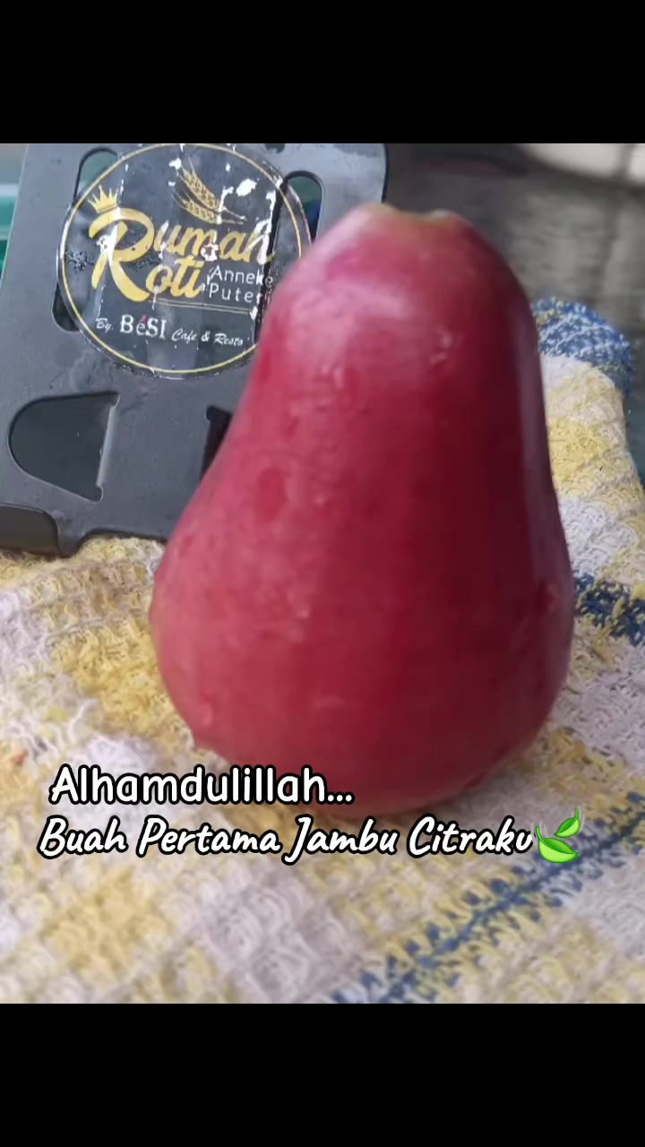 @Anneke Puteri
