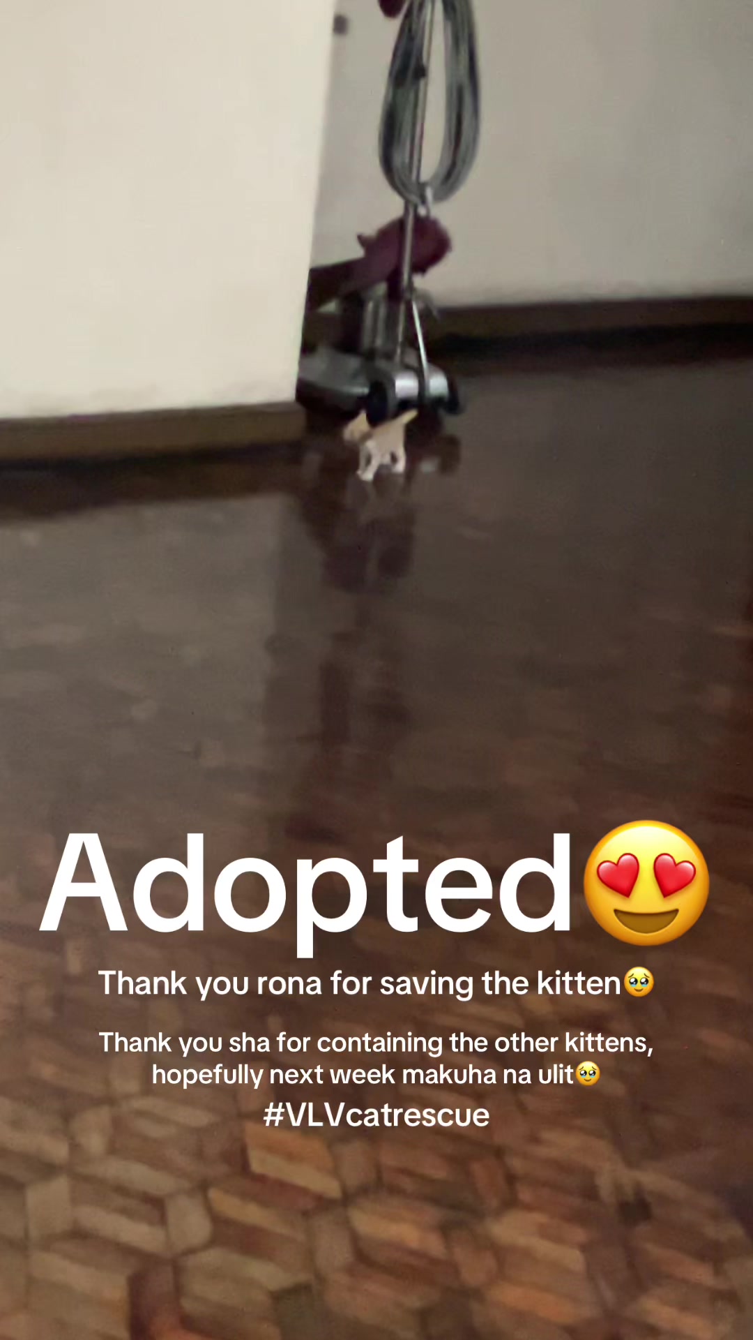 @Miss VLV