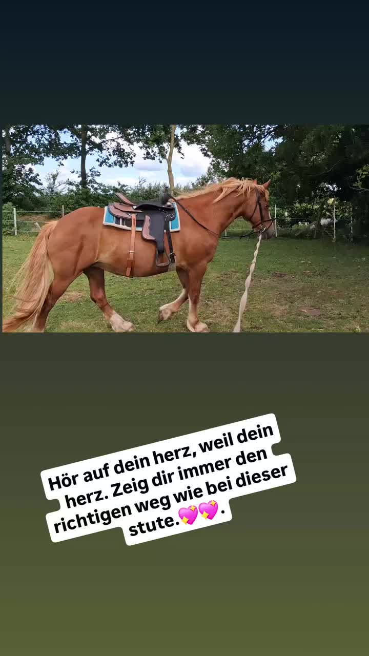 @🔥🔥Dani🔥🔥