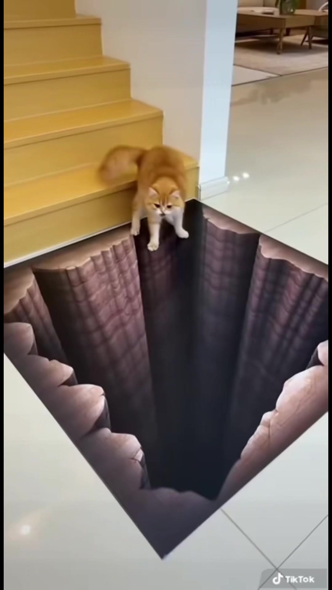 @แ๐
๐๐๐จ๐ข๐แ