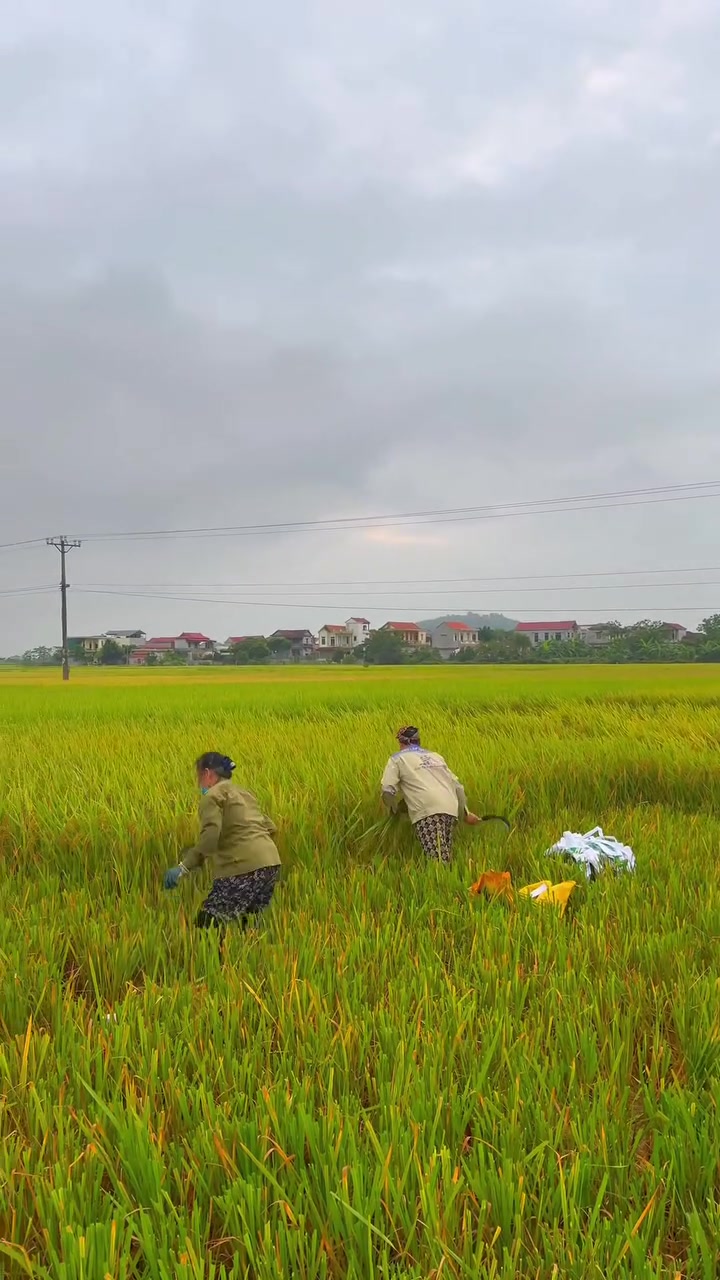 @Phạm Văn Thảo