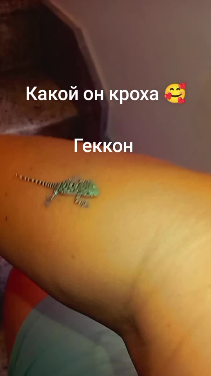 @❤️🔥Любимая Пахи 🇱🇹 ✌️