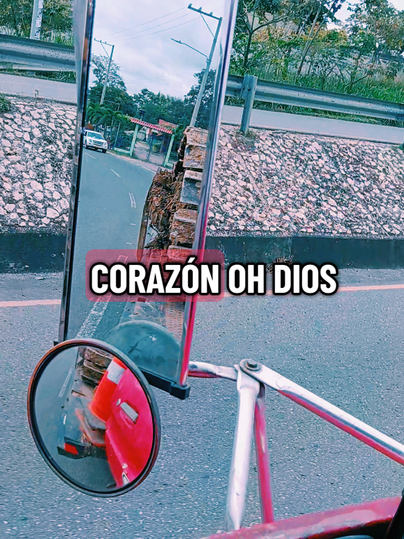@Joshe Gomez Hernande