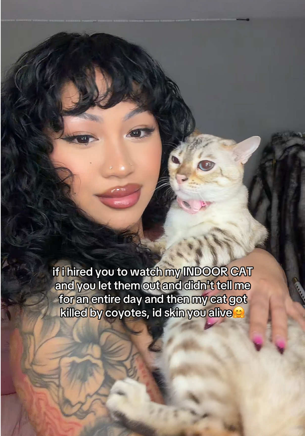 @Mirajane The Bengal🐾