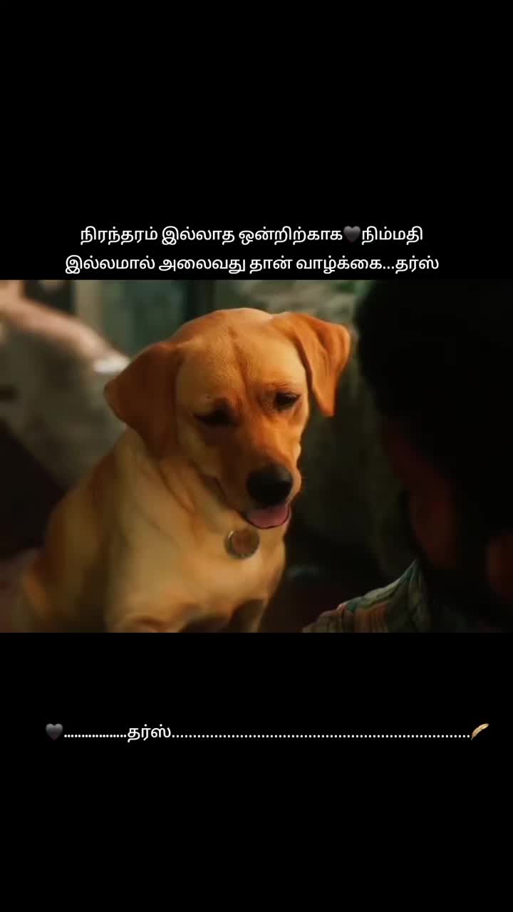 @தர்ஸ்🖤✨️