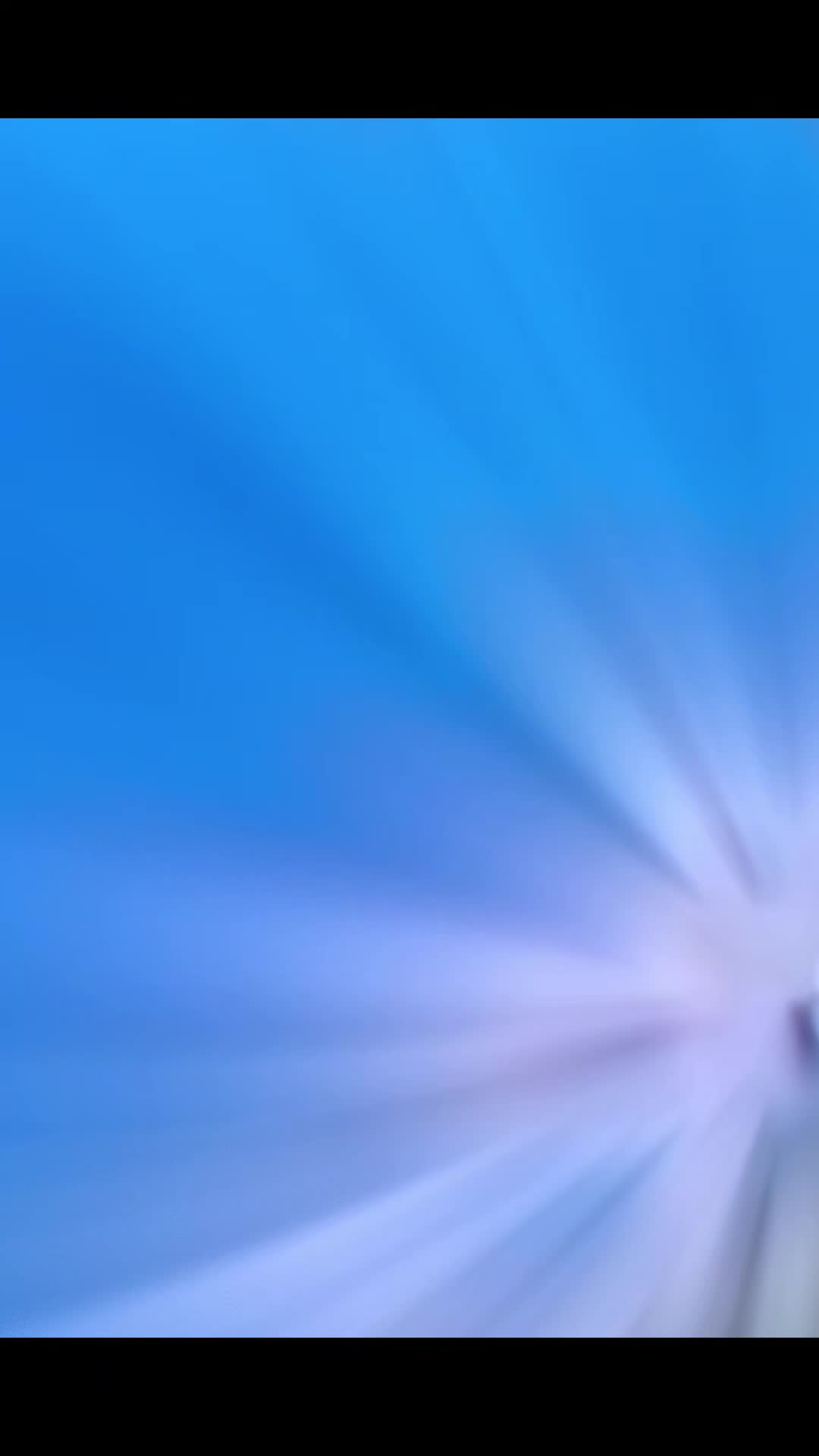 @Matrixe