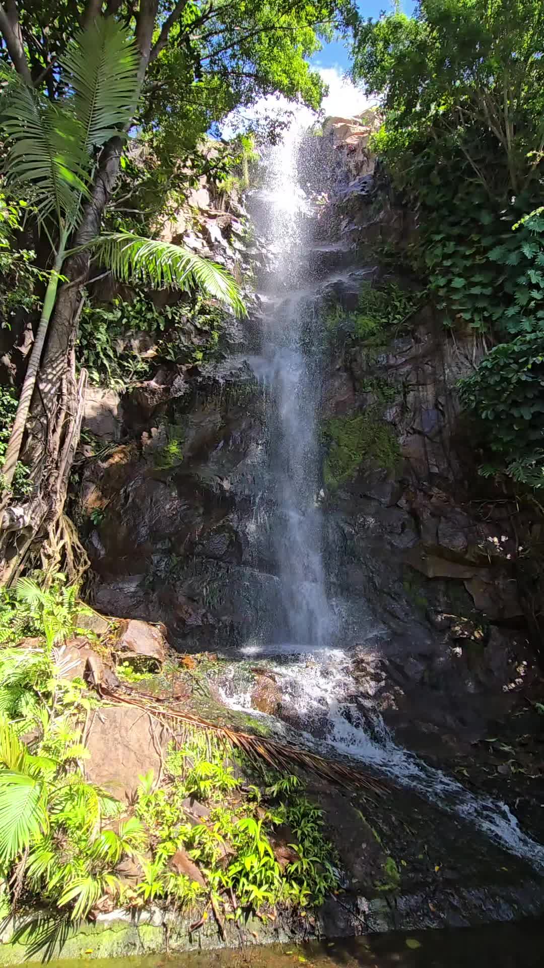 @creekcritter