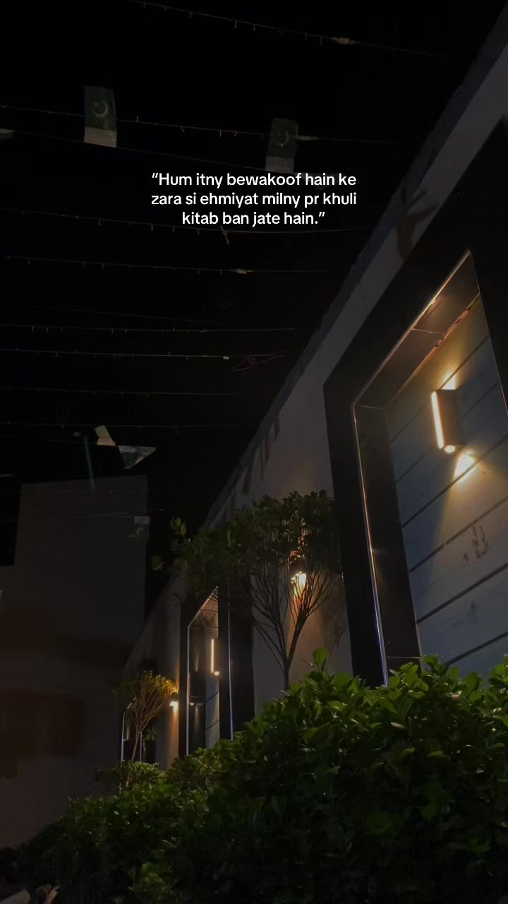 @MIRZA👻