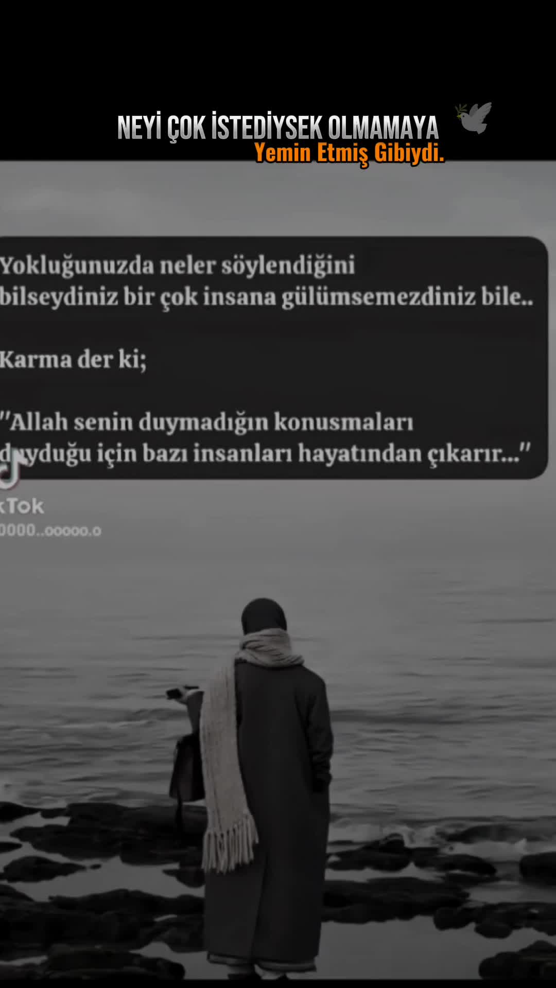 @T&uuml;lin doğrul 51