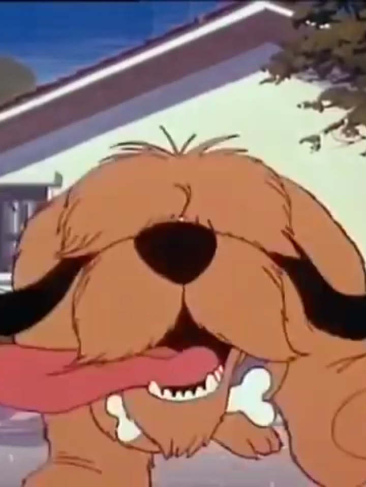 @BallistikCoffeeBoy