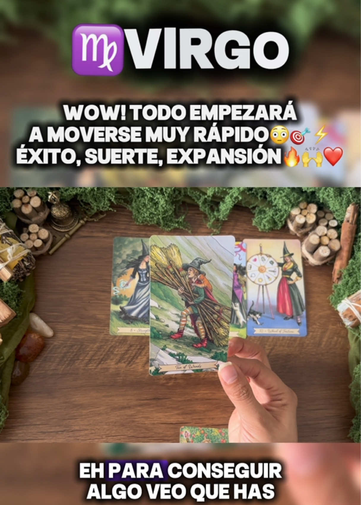 @Andy Sun Tarot ☀️