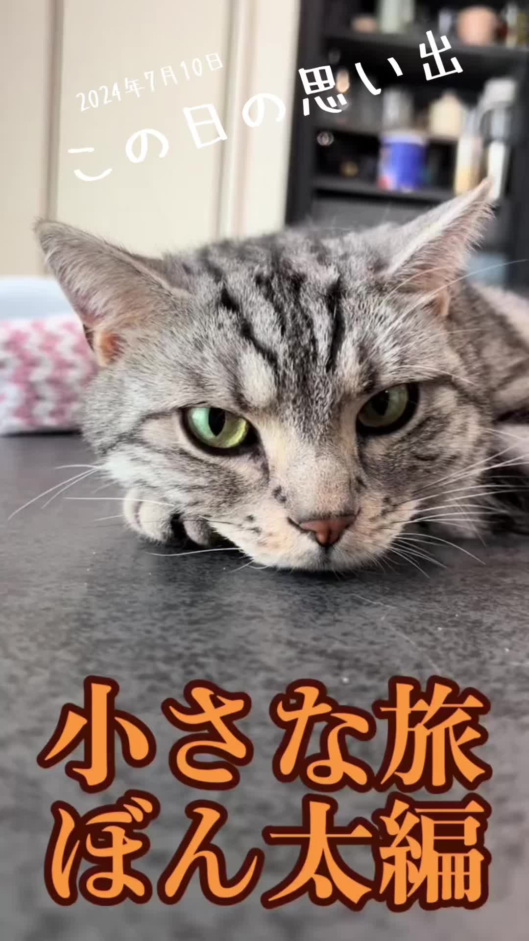 @稲荷弥勒