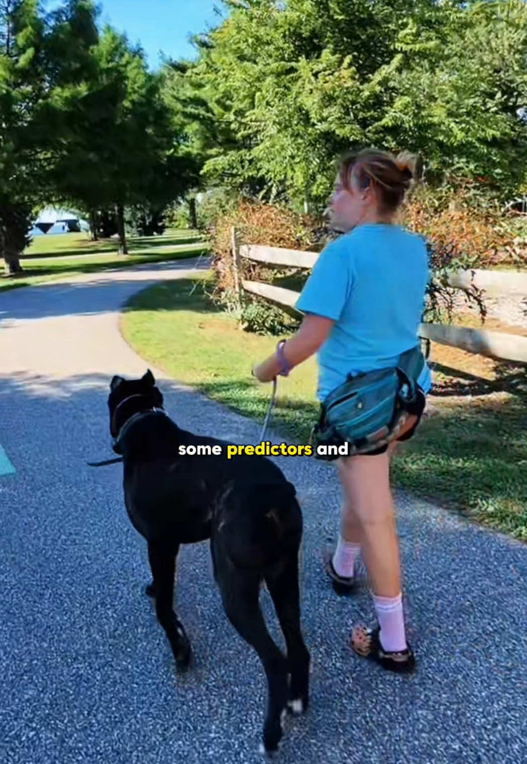 @Miracle K9 Training