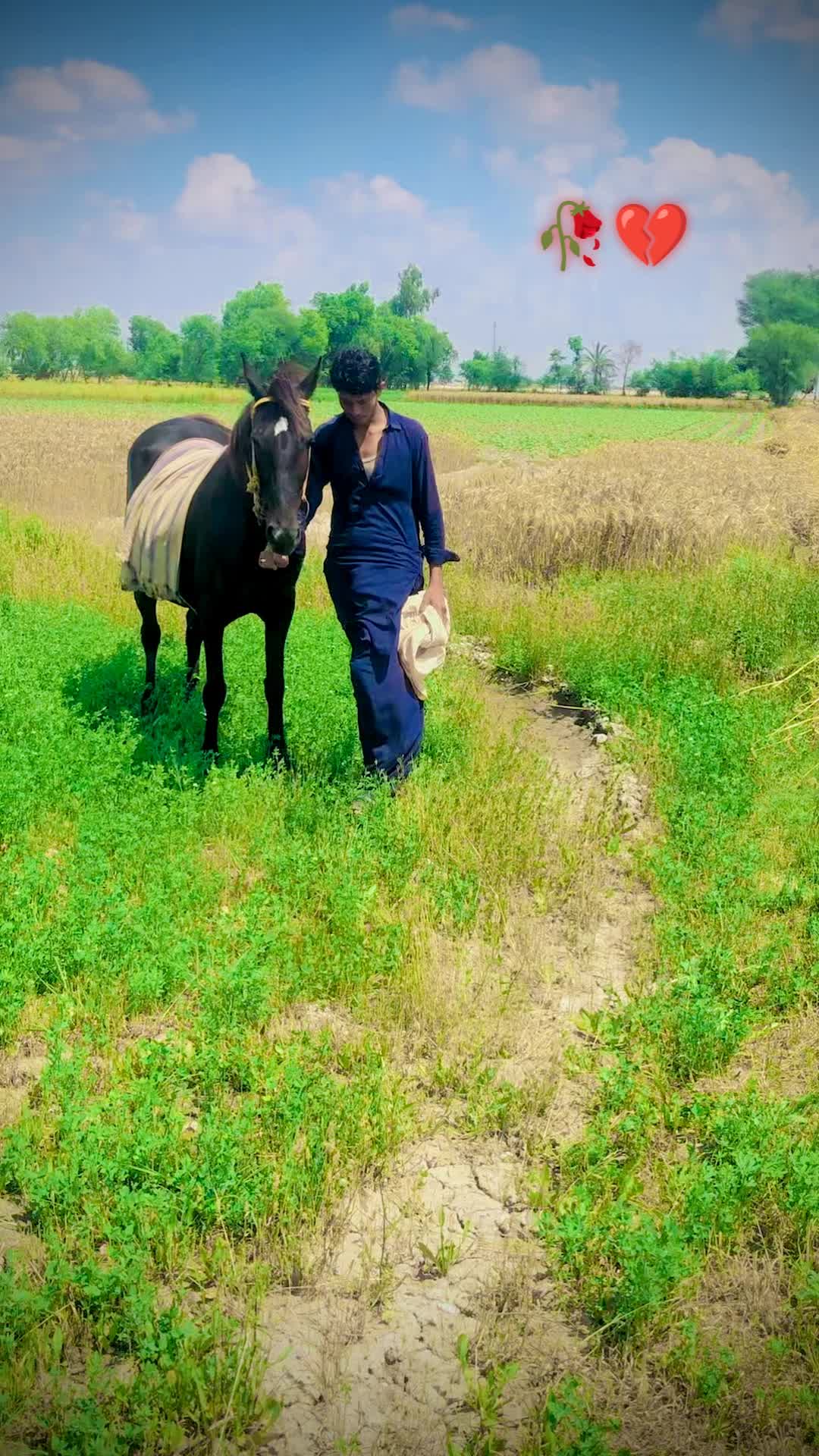 @🐎 گھوڑے دا شوق نواباں دا 🐎