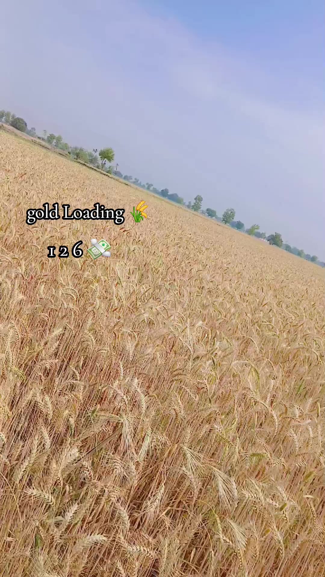 @USMAN 126🫀